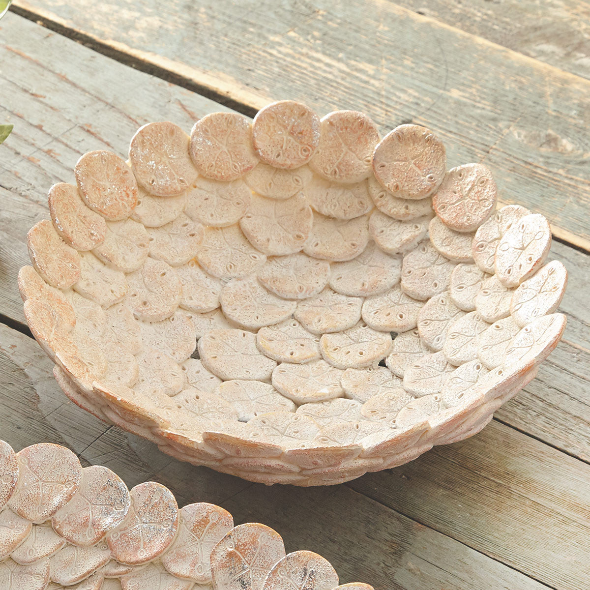 Sand Dollar Elegance Plate - Medium - CLEARANCE