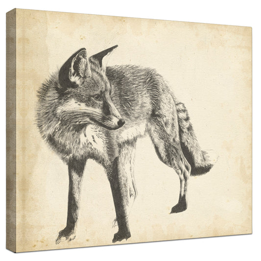 Wildlife Snapshot Fox Gallery Wrapped Canvas