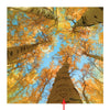 Aspen Sky Personalized Stretched Canvas - Large