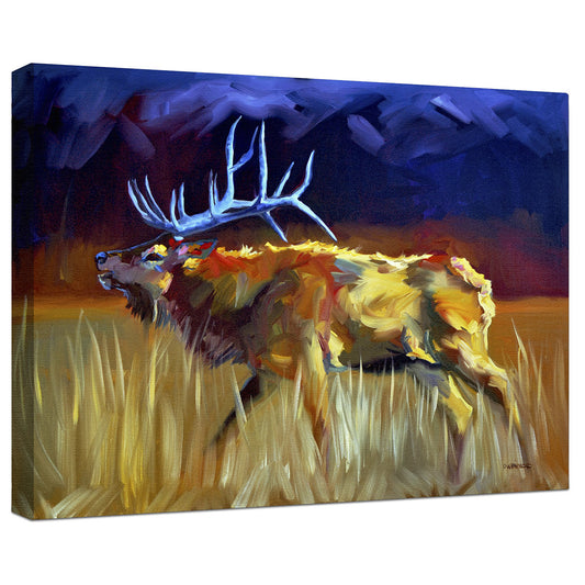 Bugling through the Night Wrapped Canvas