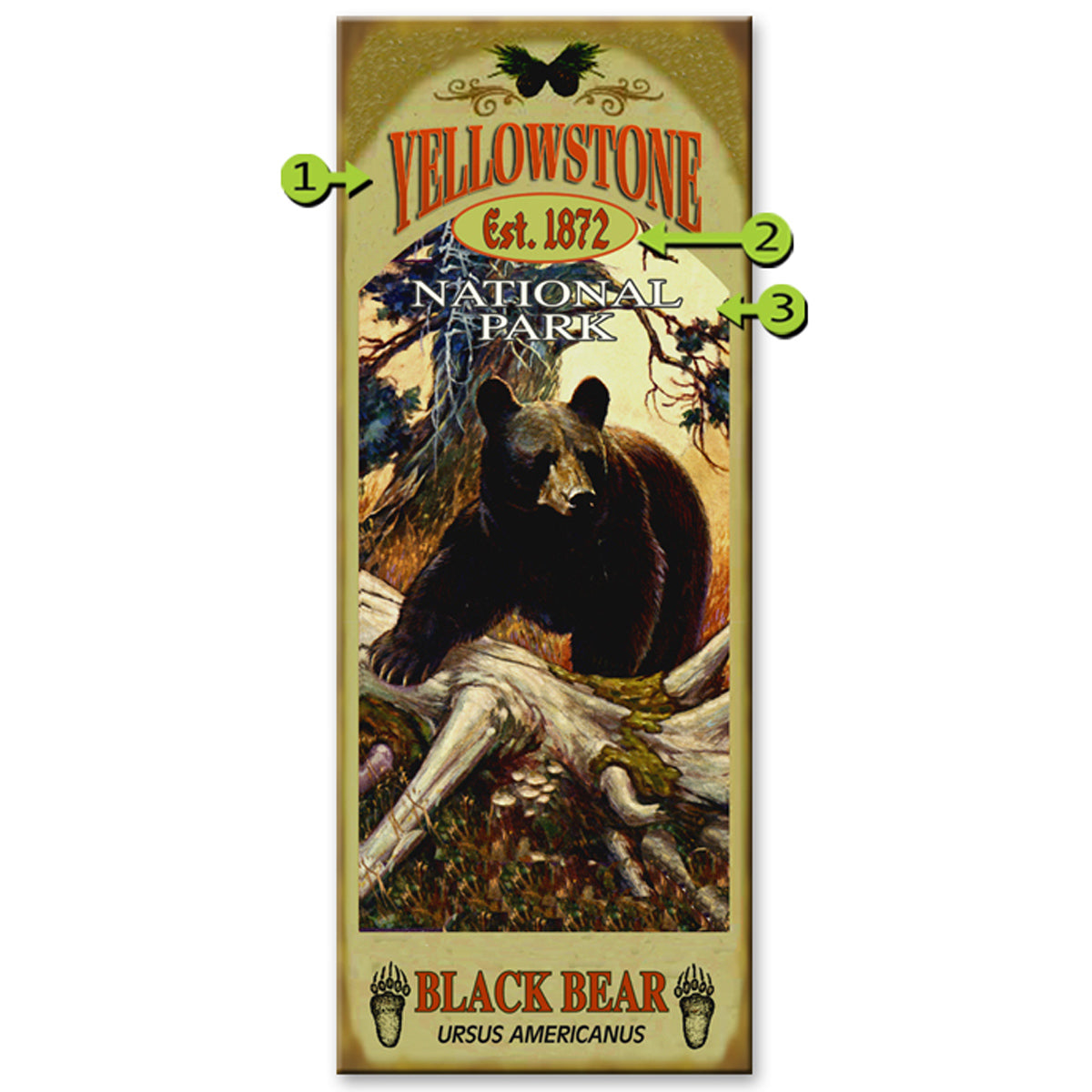 Black Bear Sign - 17Wx44H
