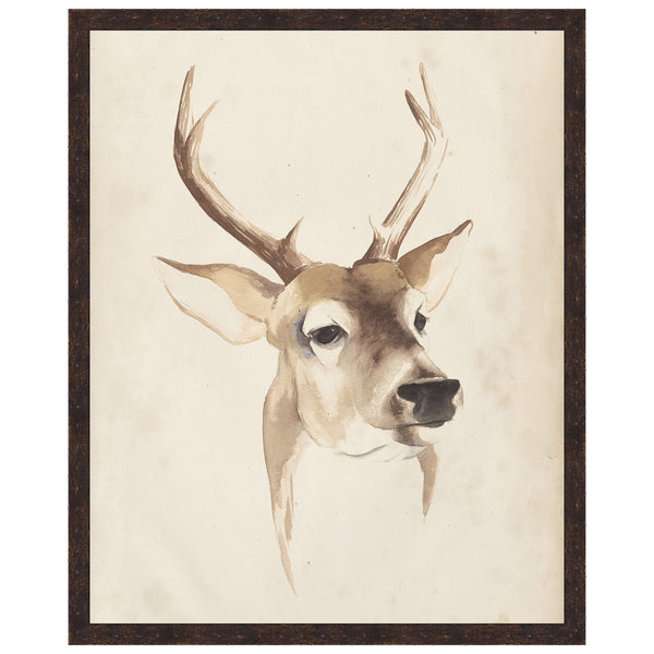 Watercolor Animal Study IV Framed Print