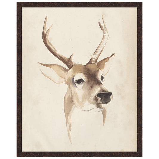 Watercolor Animal Study IV Framed Print