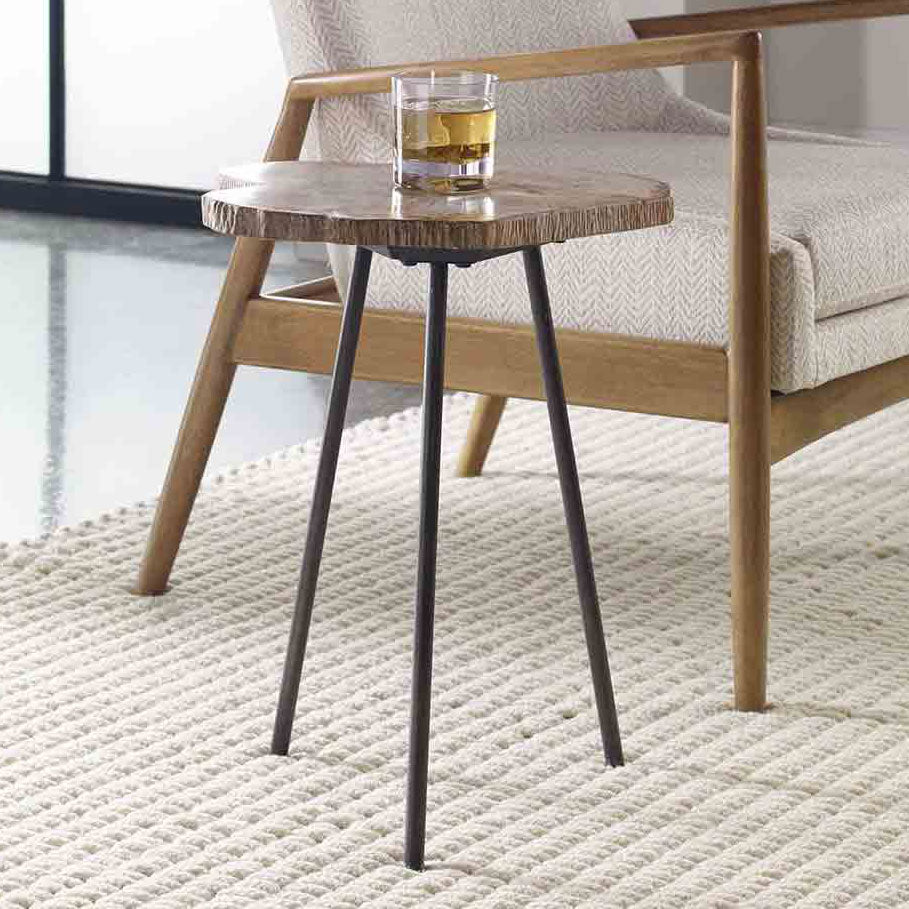 Petrified Wood Accent Table