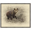 Grizzly Cub 2 Framed Canvas