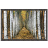 White Orchard Framed Canvas