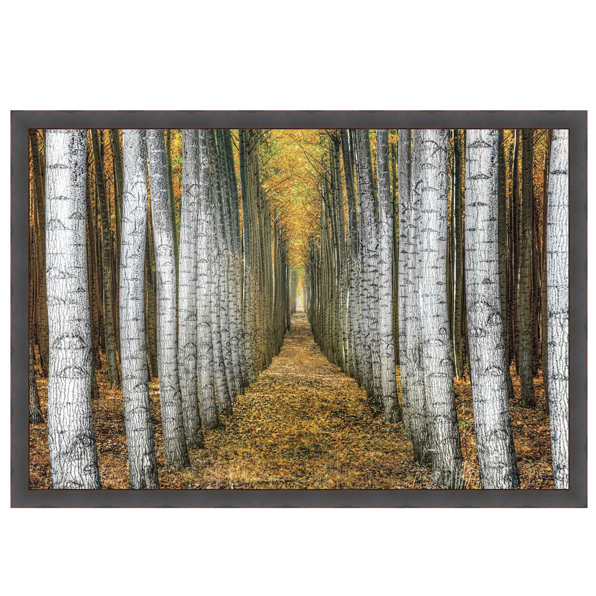 White Orchard Framed Canvas