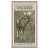 Moose Country Framed Canvas