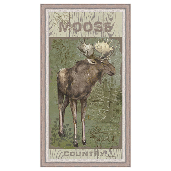 Moose Country Framed Canvas
