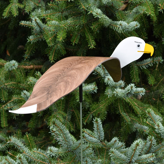 Dancing Outdoor Eagle