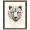 American Wilderness I Framed Print