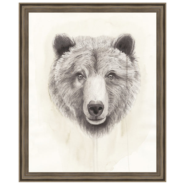 American Wilderness I Framed Print