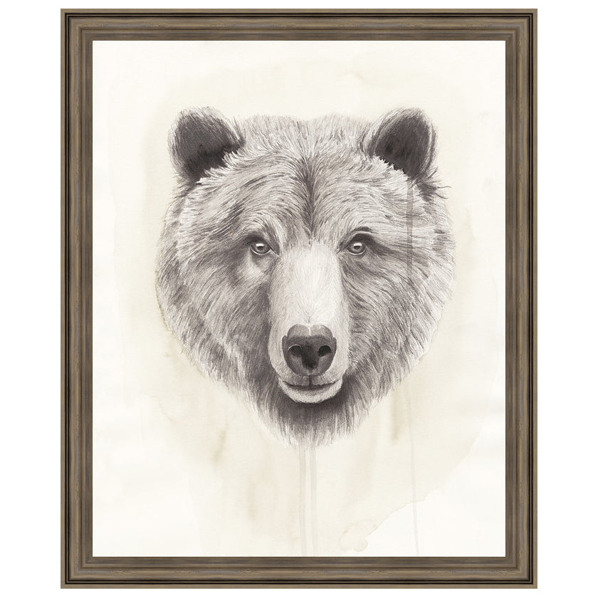 American Wilderness I Framed Print