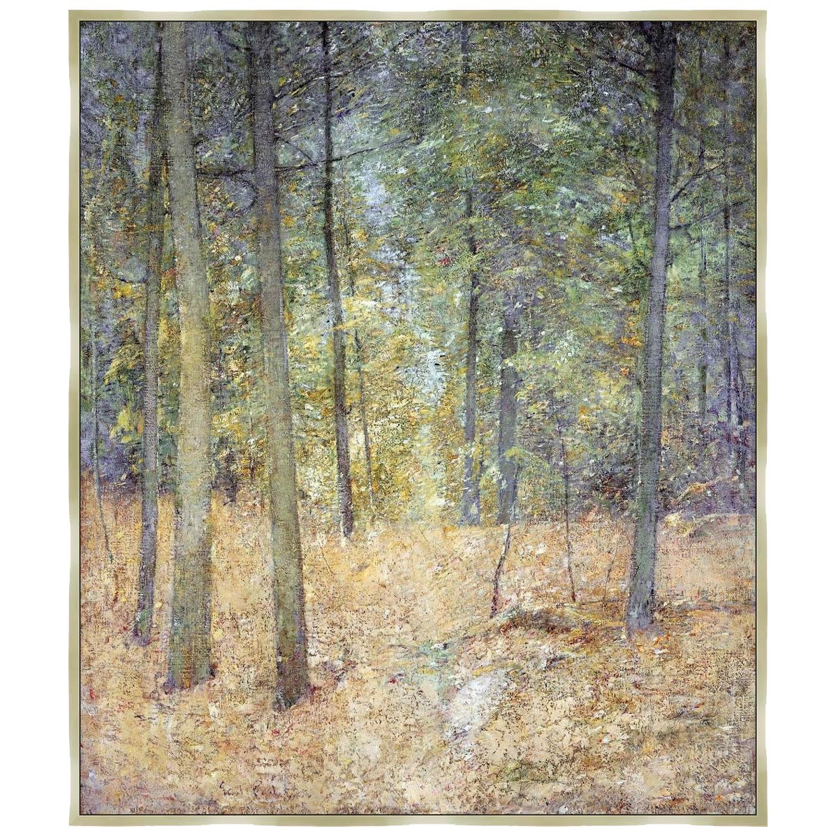 Glowing Woods Canvas Art