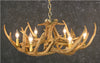 Whitetail 9 Antler Chandelier - SALE