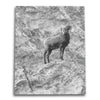 Lookout Canvas Wall Art