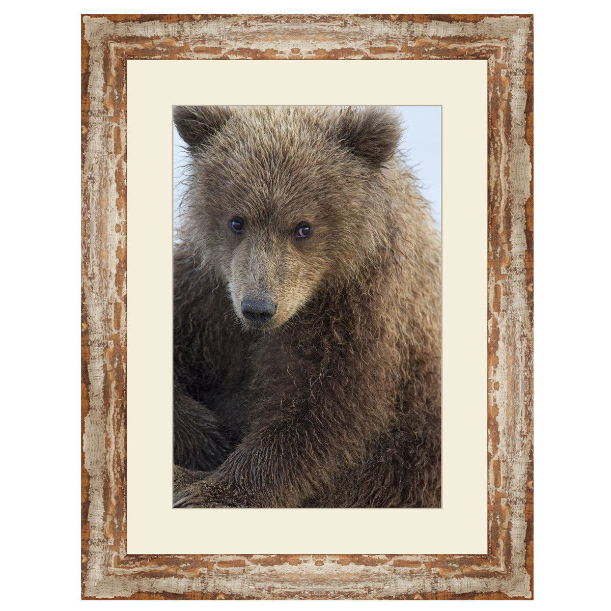 Kodiak Cub Framed Art