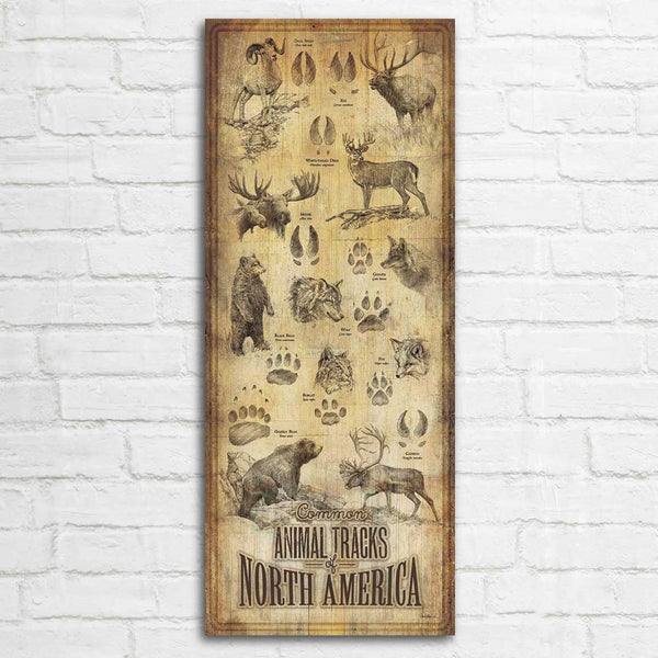 North American Tracks Wood Chart
