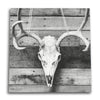 Barnwood Deer Skull Canvas Wall Art