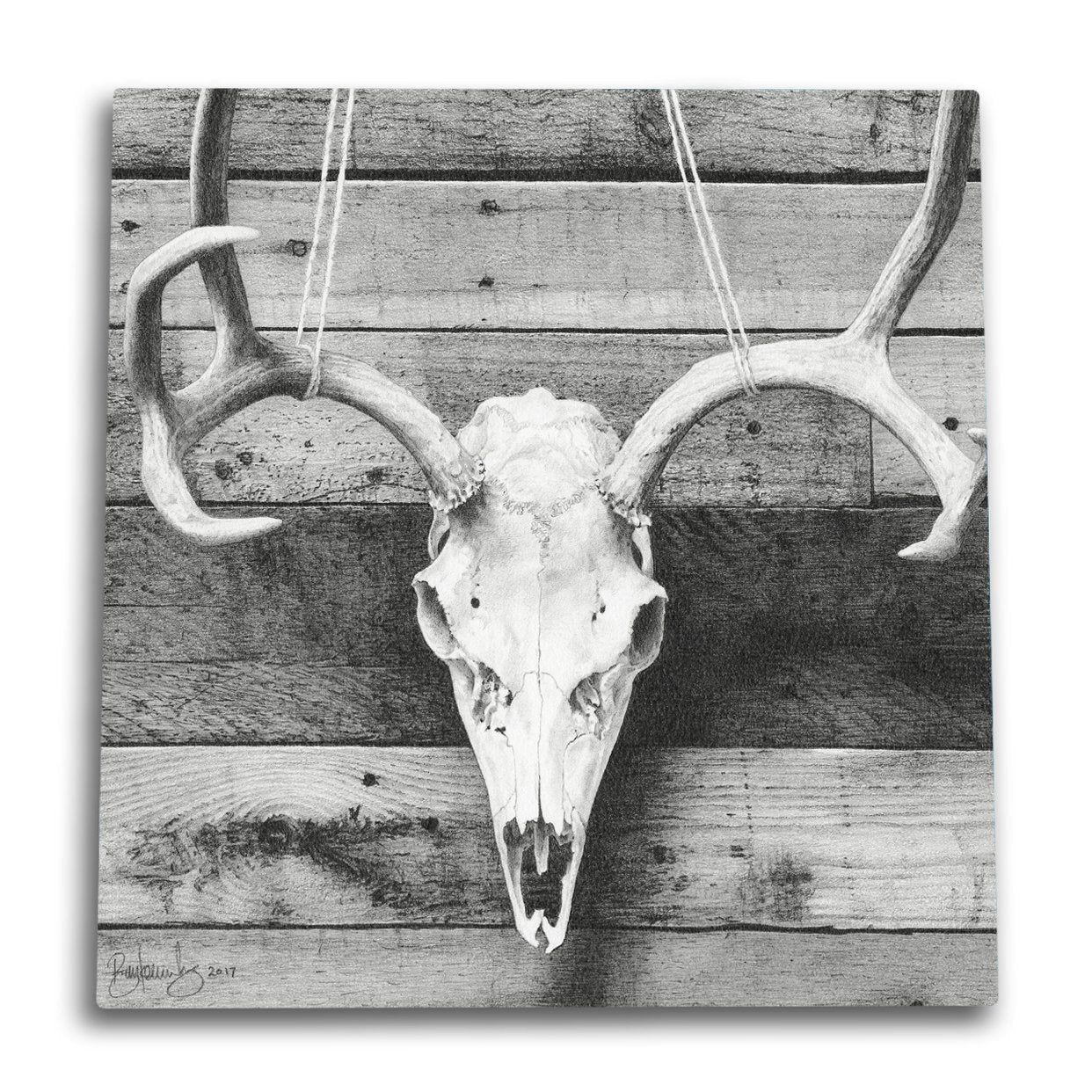 Barnwood Deer Skull Canvas Wall Art