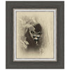 Raccoon Framed Canvas