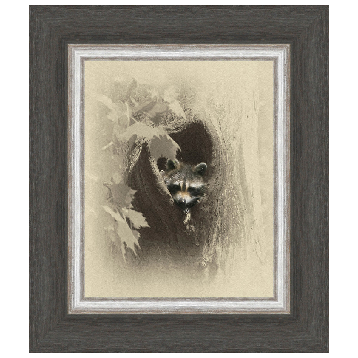 Raccoon Framed Canvas