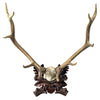 1889 Large Antler Plaque - Burlwood