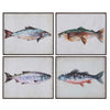 Fin Lessons Wall Art - Set of 4 - OUT OF STOCK UNTIL 08/07/2026