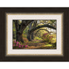 Canopy of Oaks Framed Print