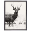 Grayscale Deer Wall Art