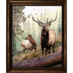 Hillside Elk Couple Personalized Stretched Canvas - Small