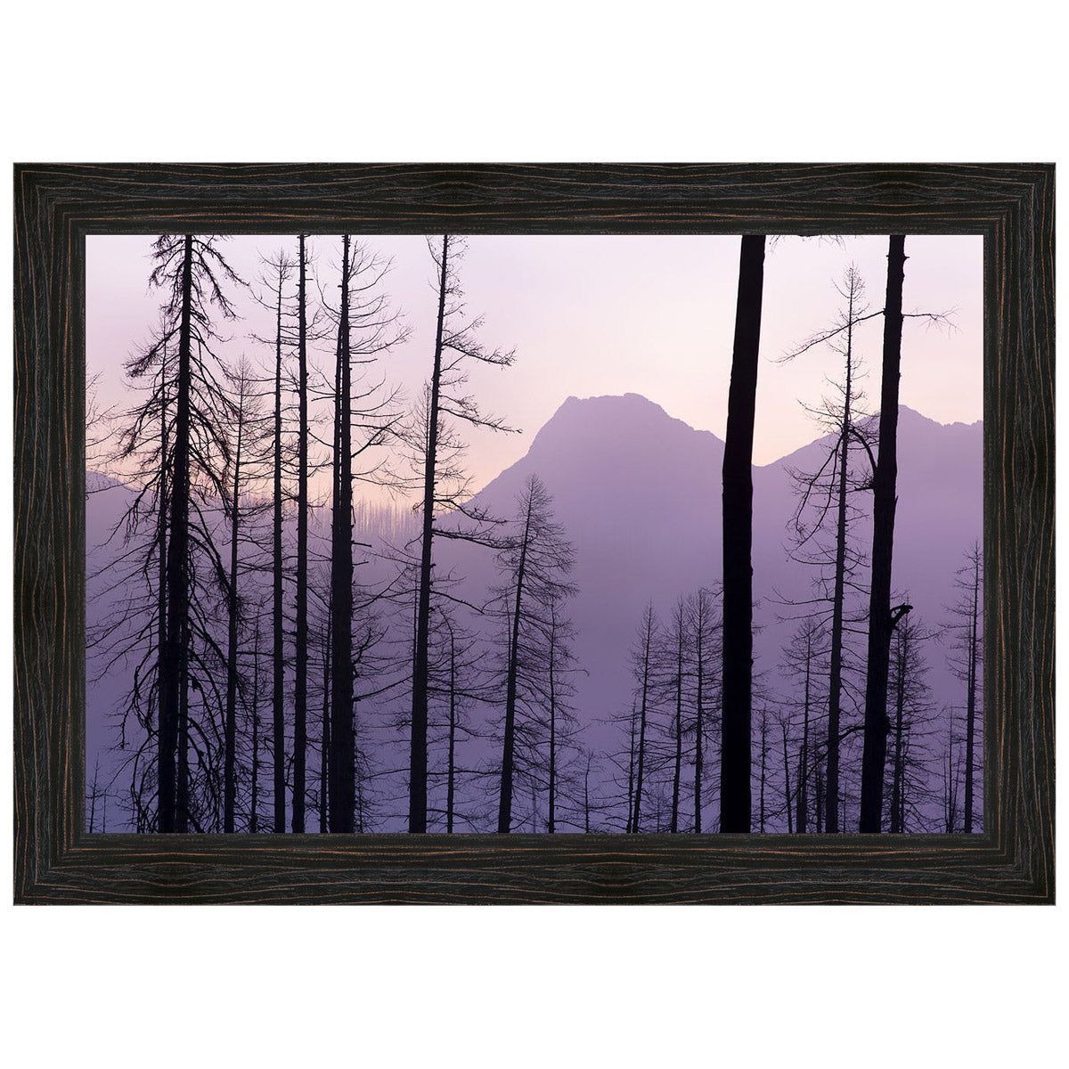 Glacier National Park Framed Canvas