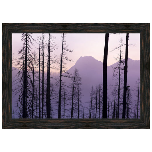 Glacier National Park Framed Canvas