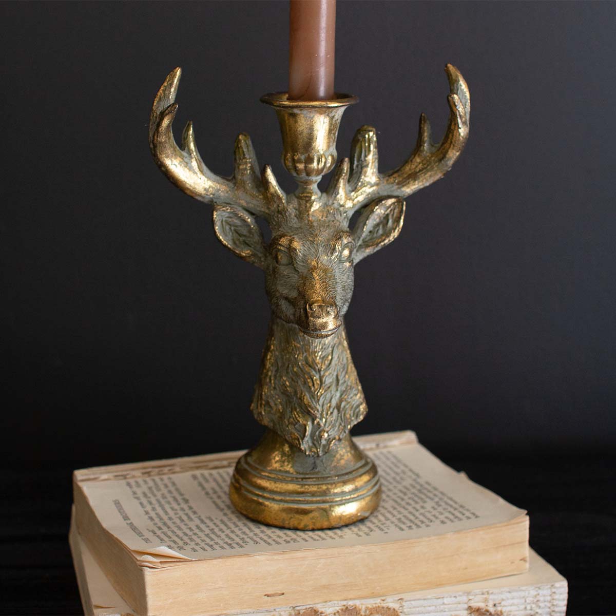 Buck Bust Candle Holder