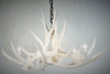 Mule Deer 6 Antler White Chandelier