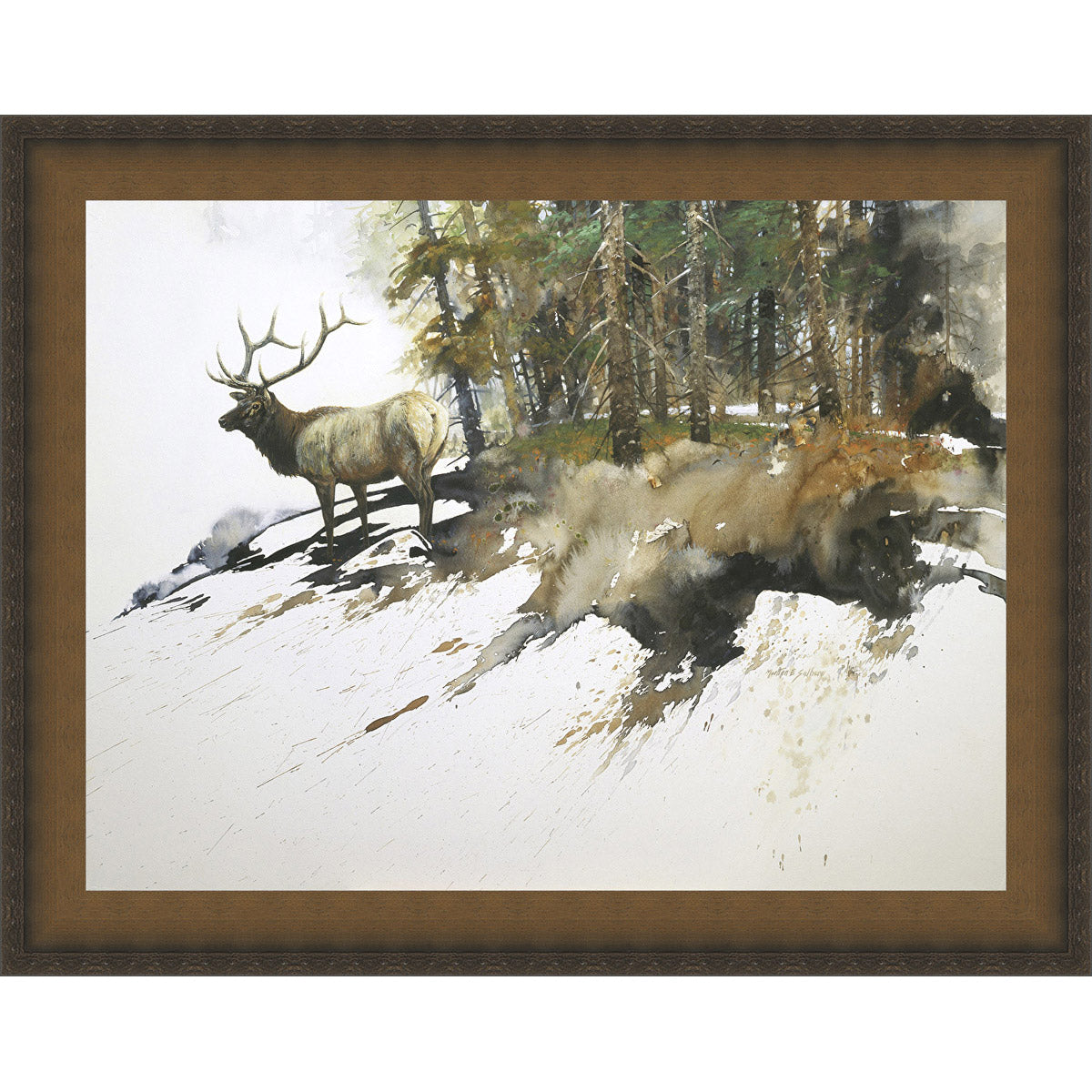 Out of the Woods Framed Canvas