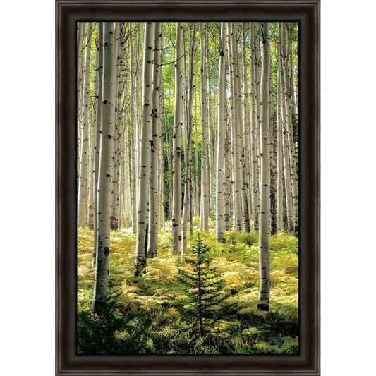 Baby Evergreen Wall Art