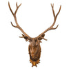 12-point Amber Elk Plaque