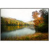 Autumn Foliage Framed Art