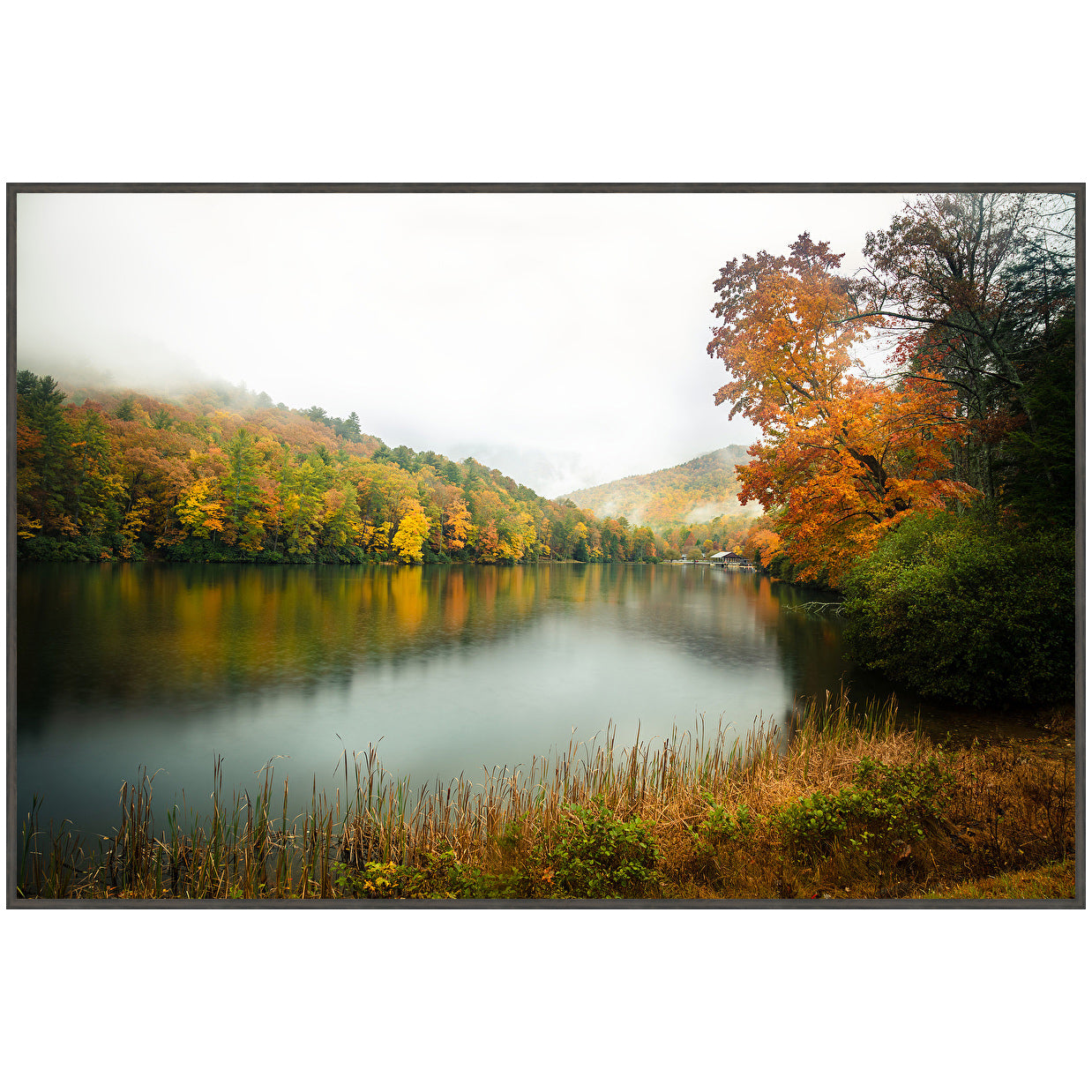 Autumn Foliage Framed Art