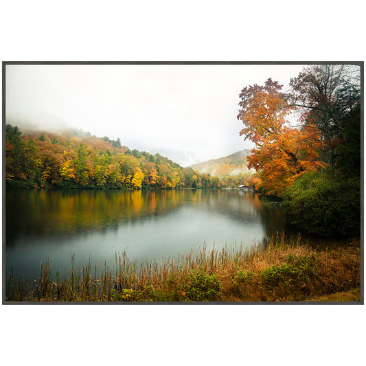 Autumn Foliage Framed Art
