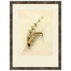 Macro Lures IX Framed Print