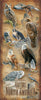 North American Raptors Wood Chart