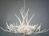 Mule Deer 9 Antler White Chandelier - Black Chain - CLEARANCE