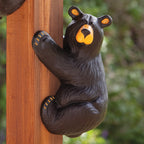 Righty Climbing Black Bear