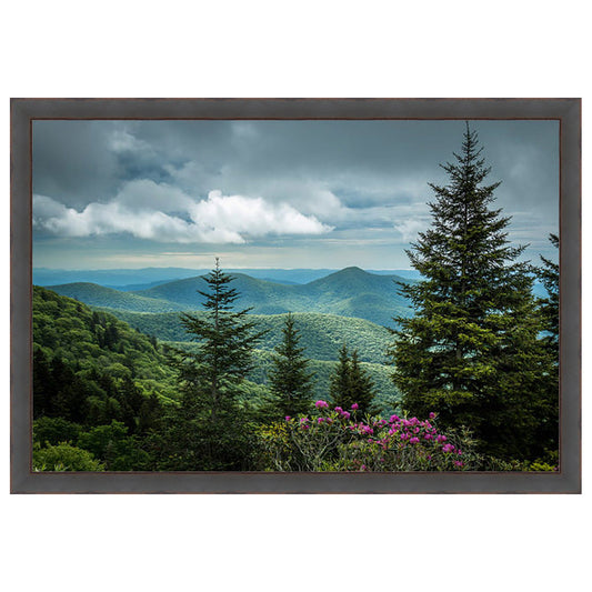 Summit's Vantage Wall Art