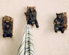 Frolicking Bear on Tree Hooks - Set of 3- SALE