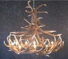 Elk 12 Antler Chandelier