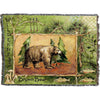 Wilderness Brown Bear Throw