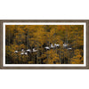 Winter is Coming Framed Canvas